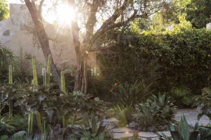 How to Fire-Proof Your Landscaping and Protect Your Home From Wildfires