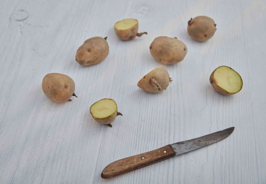 How to Plant Seed Potatoes to Grow a Bumper Crop of Spuds