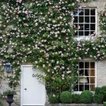 Image may contain Plant Brick Outdoors Vase Pottery Potted Plant Jar Flower Blossom Garden Arbour and Geranium