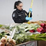 Valentine's Day flowers going through Miami International Airport