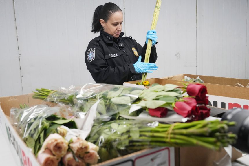 Valentine's Day flowers going through Miami International Airport