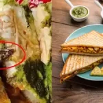 Man orders Paneer Tikka Sandwich and shocked by what he finds inside