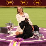 Monty the Giant Schnauzer Wins Best in Show at the 2025 Westminster Dog Show