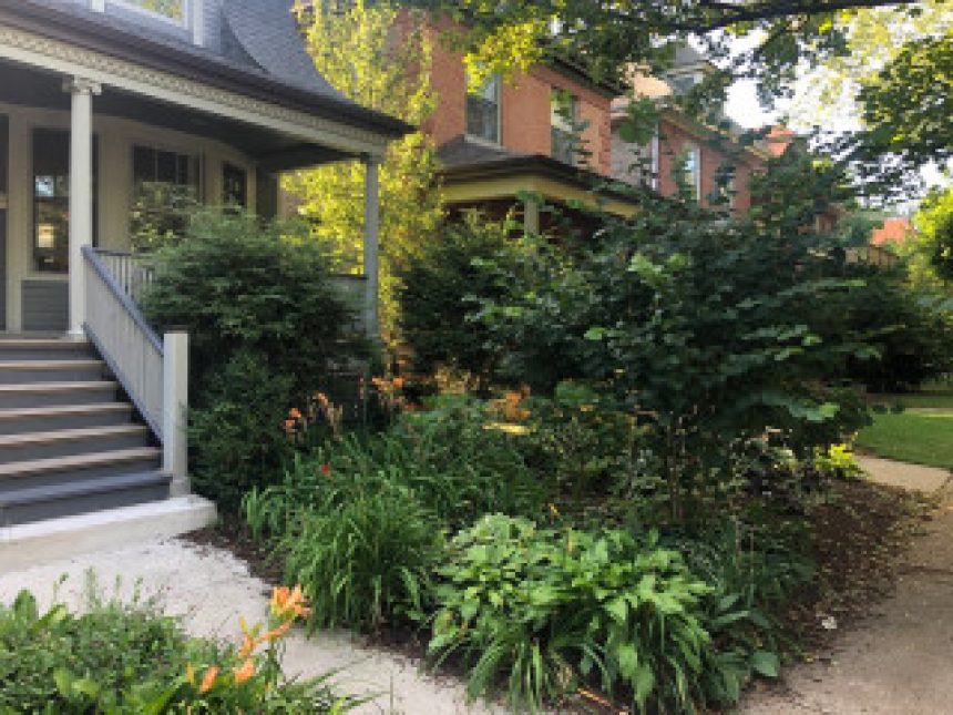 Patio of the Week: Small City Yard for Gathering and Growing