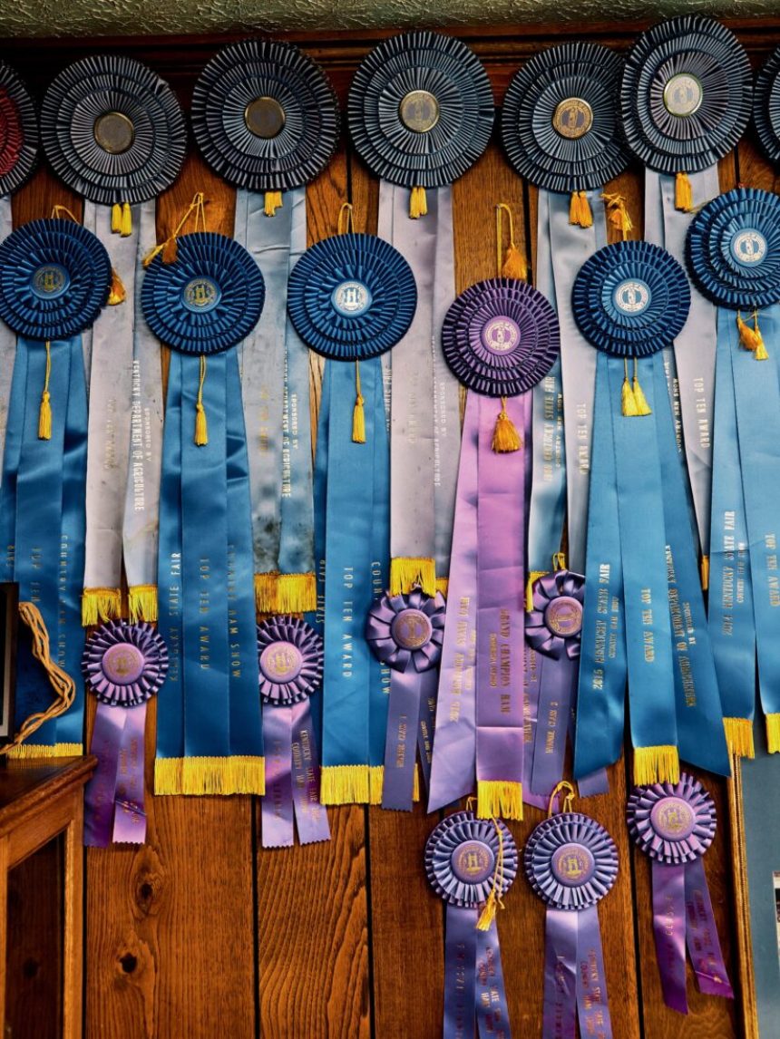 Ribbons on a wood wall