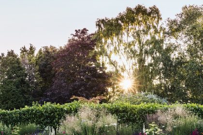 Image may contain: Grass, Plant, Outdoors, Garden, Light, Flare, Arbour, Lawn, Park, and Sunlight