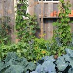 The Best Vegetable Garden Ideas for an Endless Supply of Fresh Veggies All Year Long