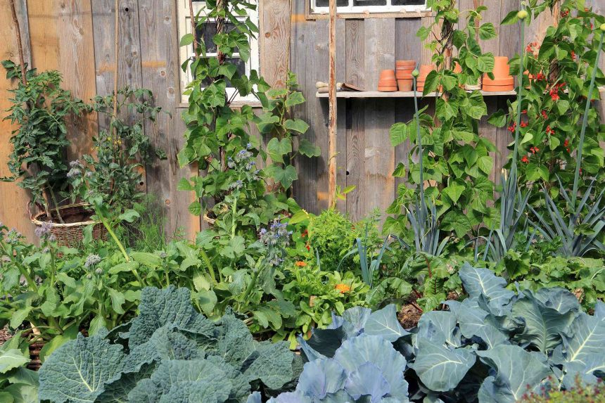 The Best Vegetable Garden Ideas for an Endless Supply of Fresh Veggies All Year Long