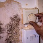 A simple hack has been revealed that could rid your house of mould