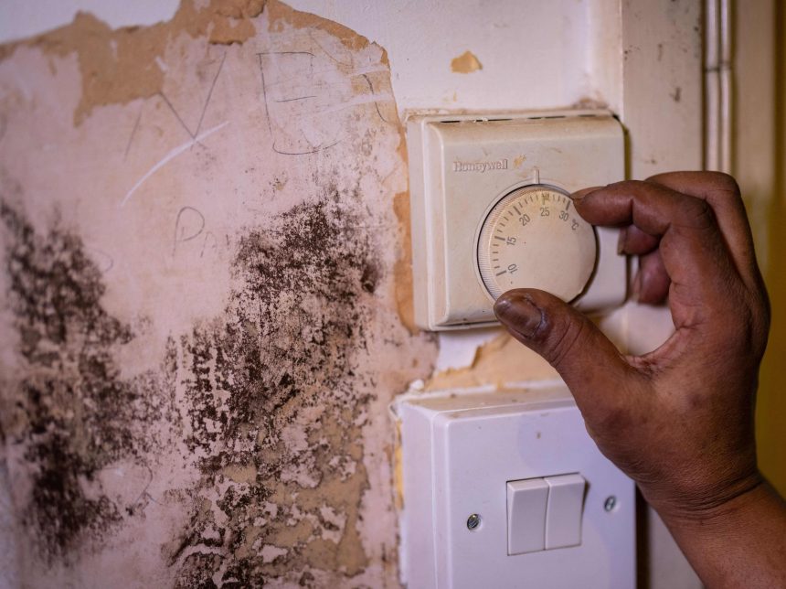 A simple hack has been revealed that could rid your house of mould