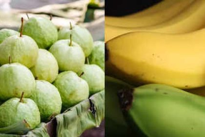 Which is healthier: Guava vs Banana